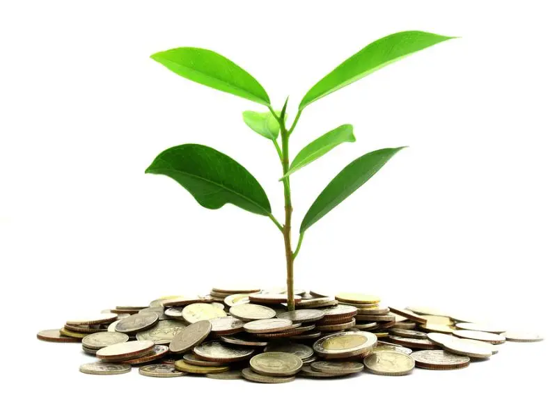 Инвестиции SKF в сохранение экологии | Свежие новости в Тюмени